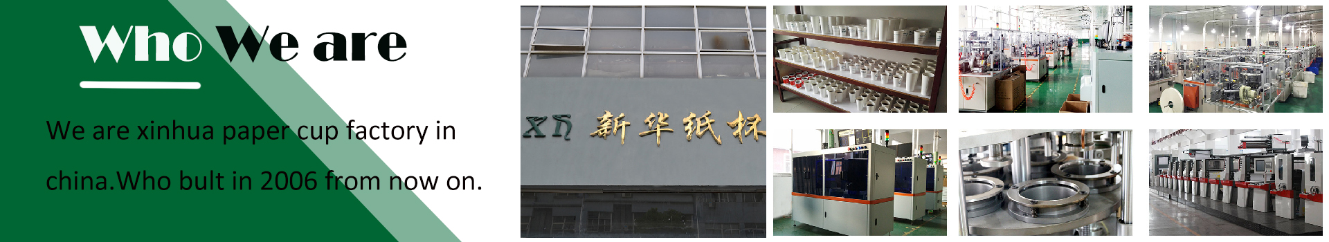 xinhua paper cup factory